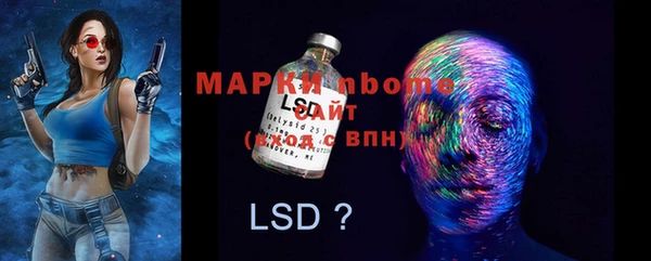 a pvp Горняк