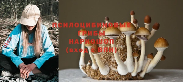 COCAINE Горнозаводск