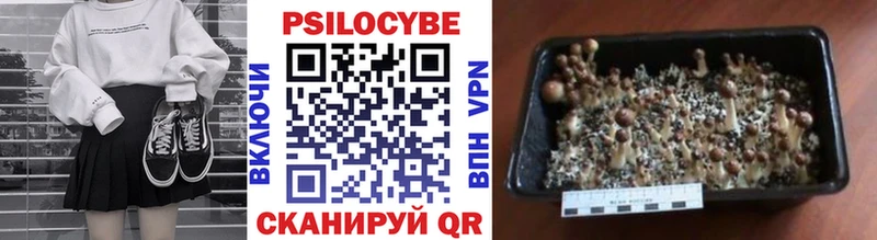 Псилоцибиновые грибы Cubensis  ОМГ ОМГ зеркало  Нязепетровск 